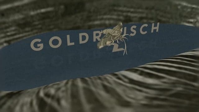 Goldrausch 2